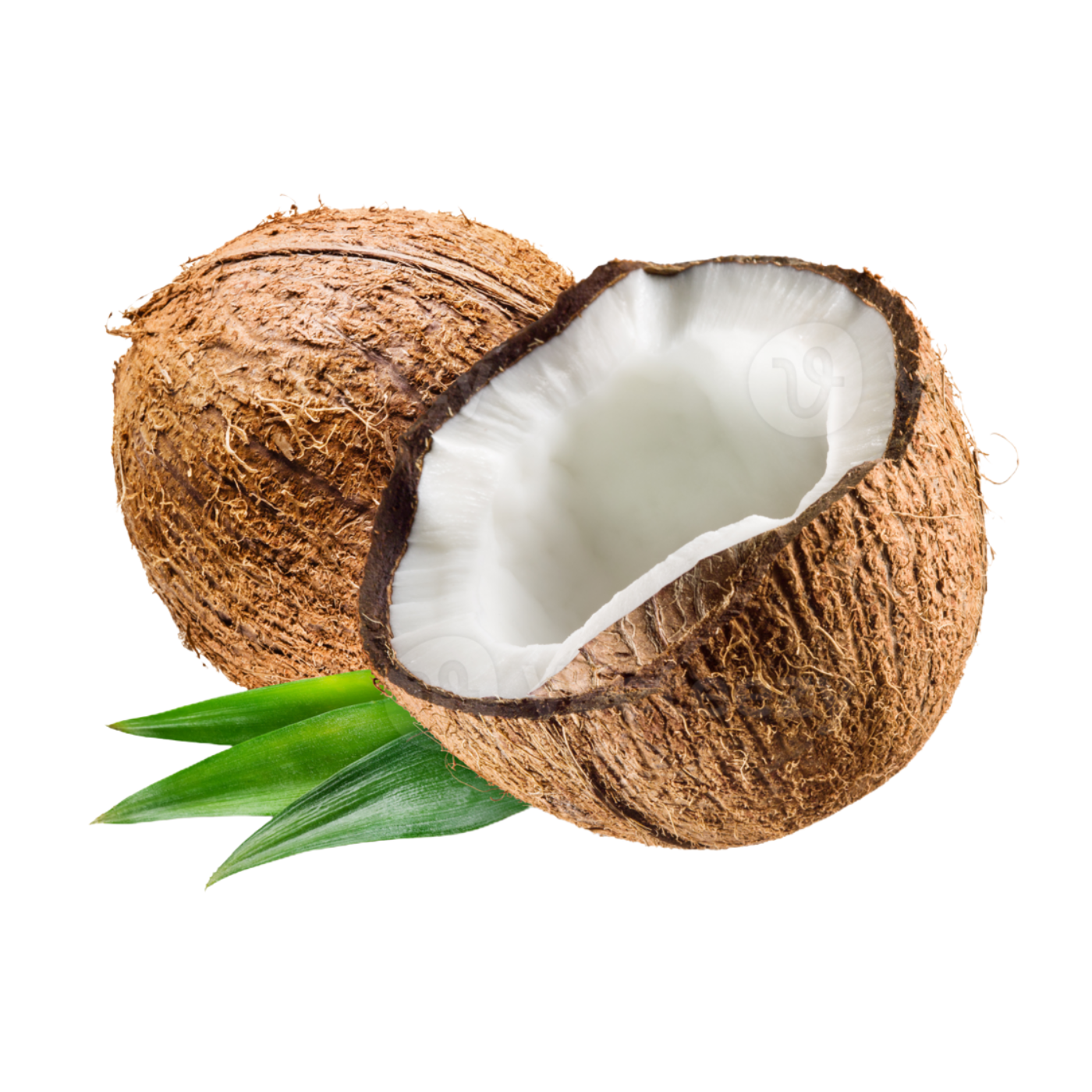 Huile de Coco